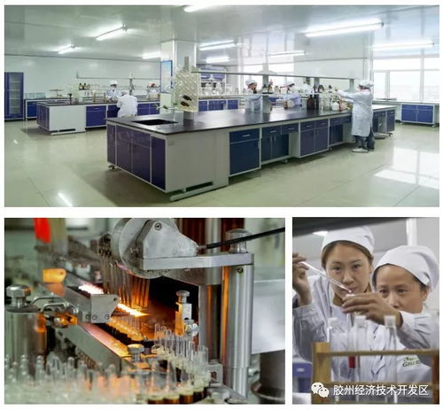 集中签约，示范区明星企业精彩亮相——精心设计网站助力招商盛会