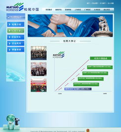 广州与深圳网站建设成功案例 选择18年老牌万户网络，打造专业精品网站